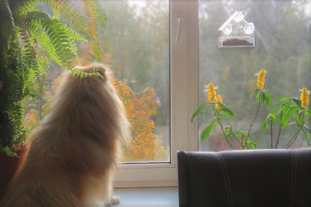 Photograph by Валерия Яскович