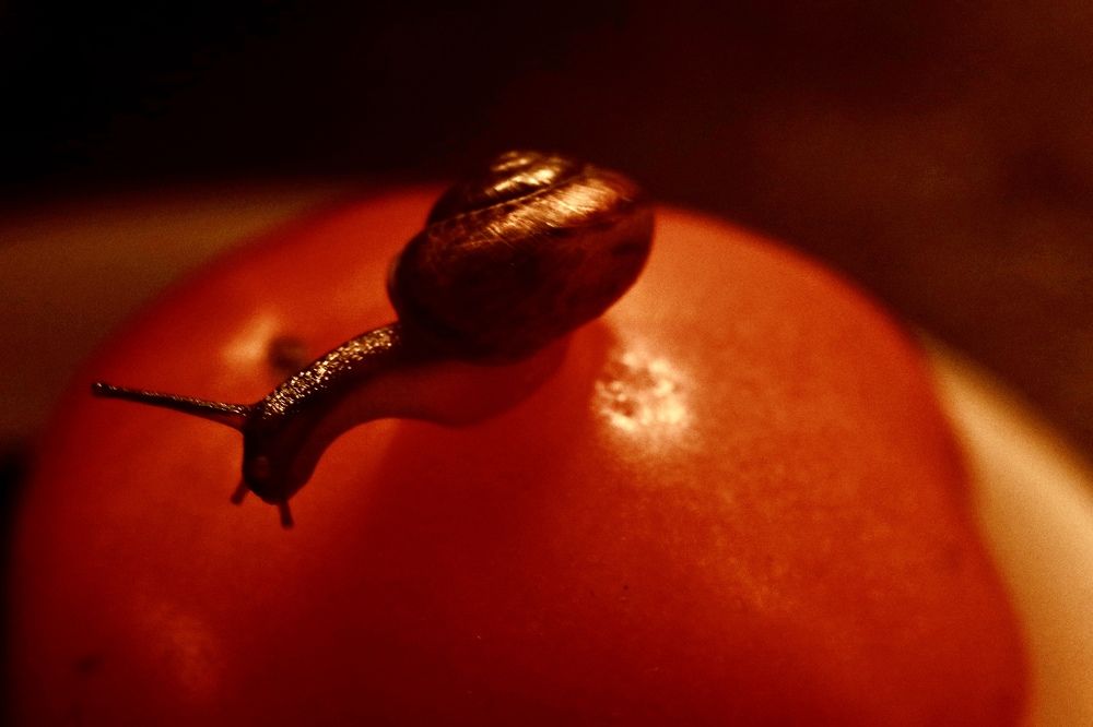 Photograph by Yana Egorova