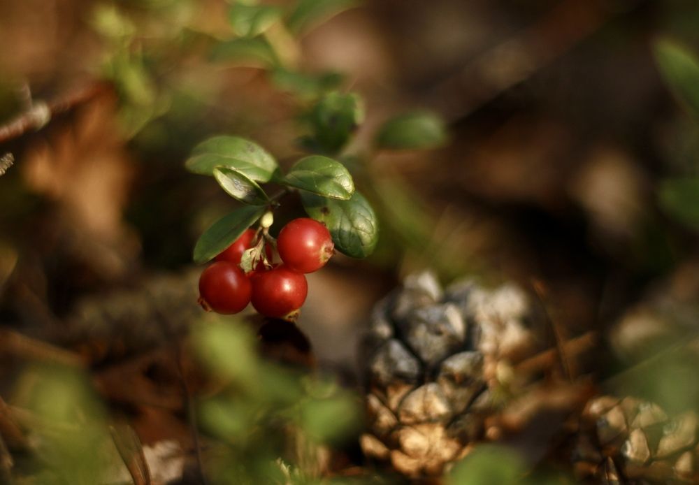 Photograph by Yana Egorova