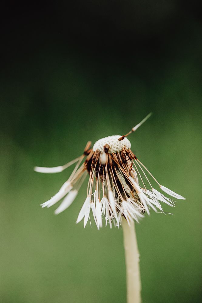 Фотография автора Олеся Шипихина