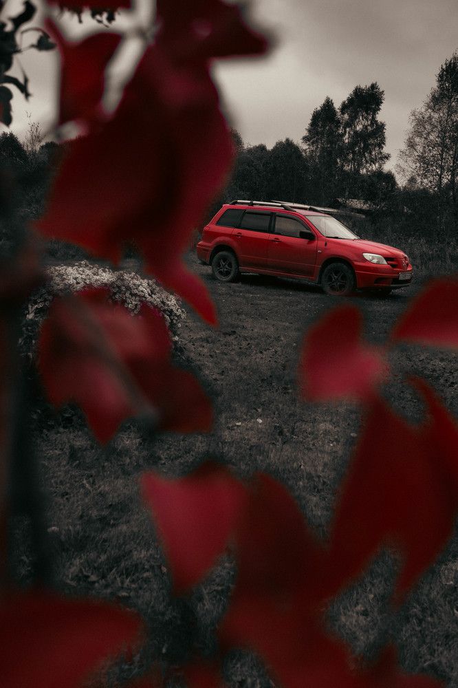 Photograph by Александр Ходакин