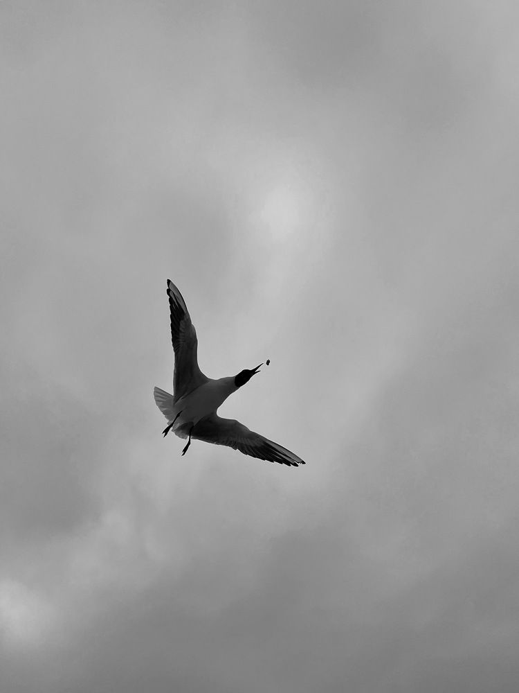 Photograph by Яна Сел