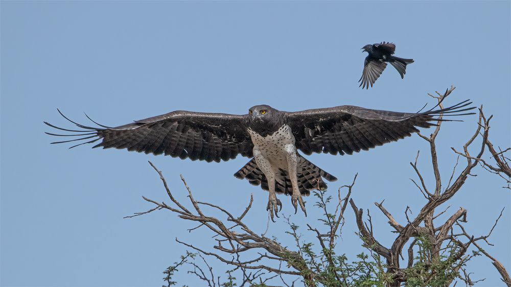 Photograph by Tania Cholwich