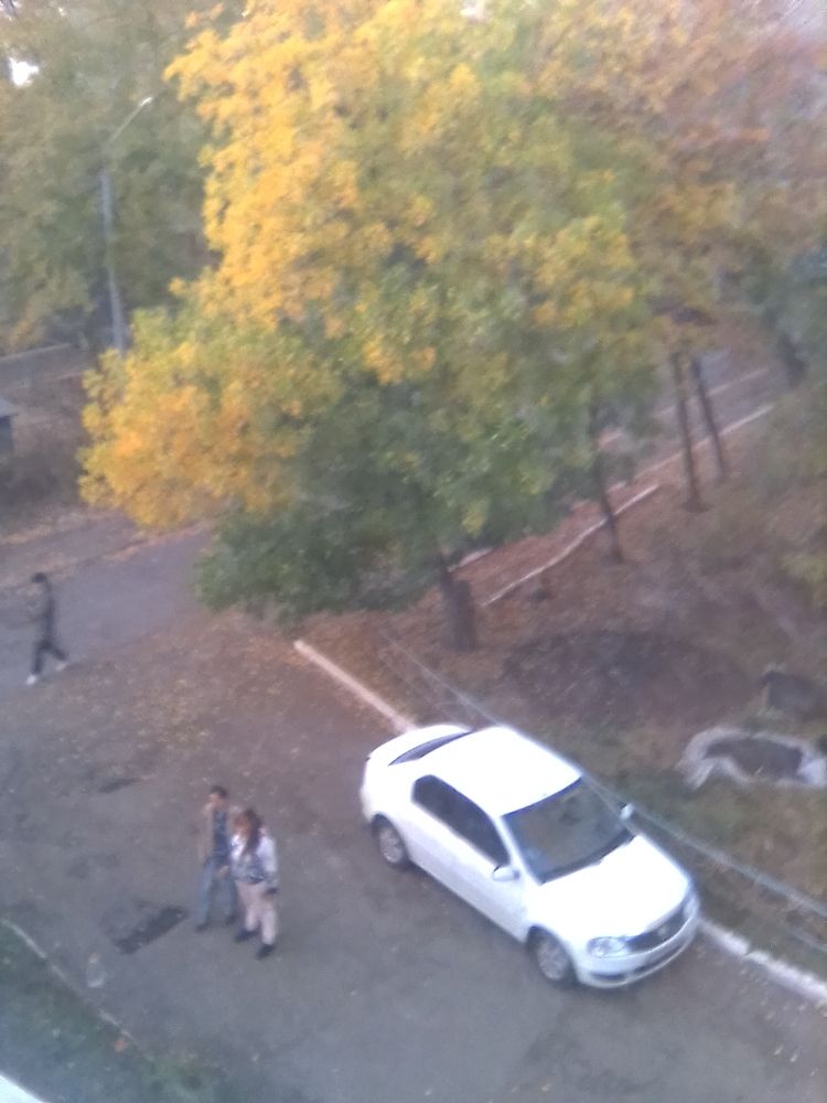 Photograph by карякина мария