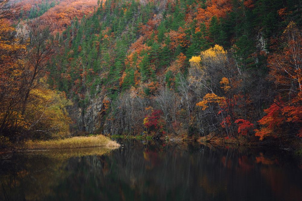 Фотография автора Анна Олещук