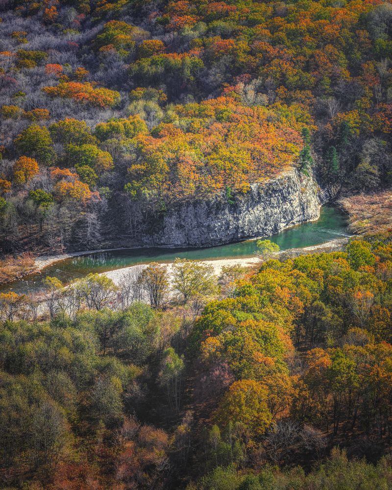 Фотография автора Анна Олещук