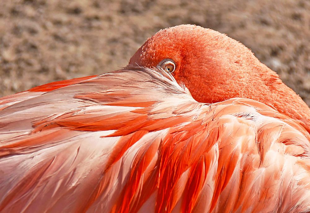 Photograph by Marjo Steffen