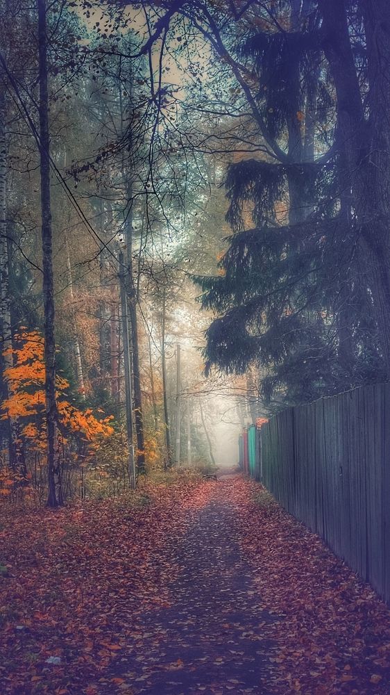 Photograph by Виктория Мамлеева