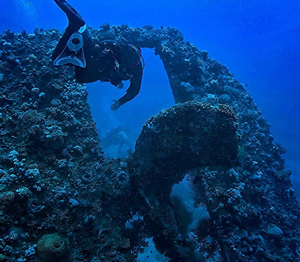 Photograph by Игорь Чернышов