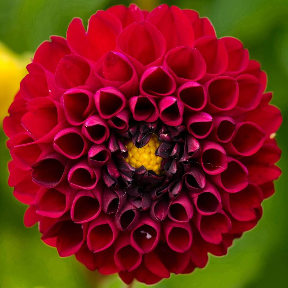 Photograph by Евгений Порсов