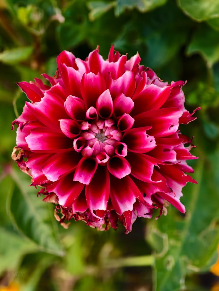 Photograph by Евгений Порсов