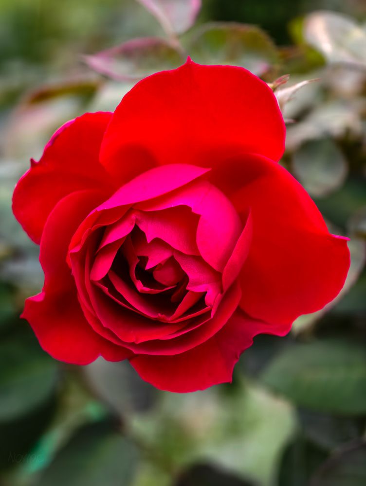 Photograph by Евгений Порсов