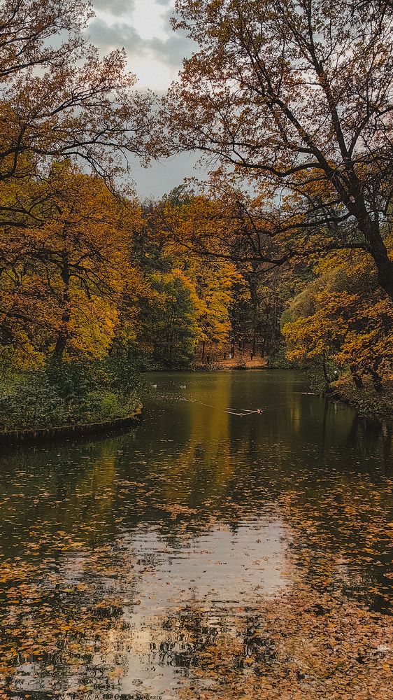 Photograph by Татьяна