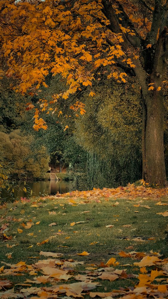 Photograph by Татьяна