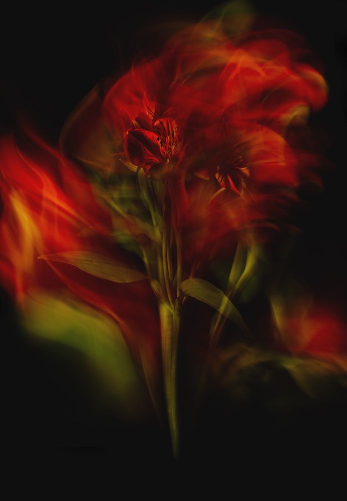 Photograph by Кристина Сотникова