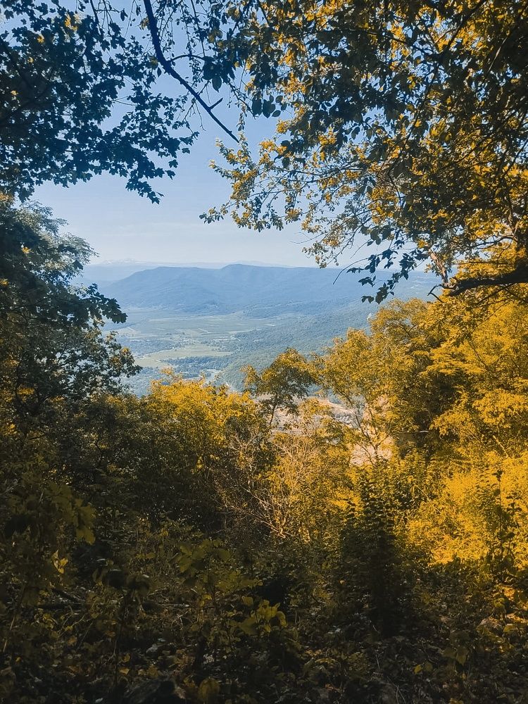 Photograph by Виктория Мамлеева