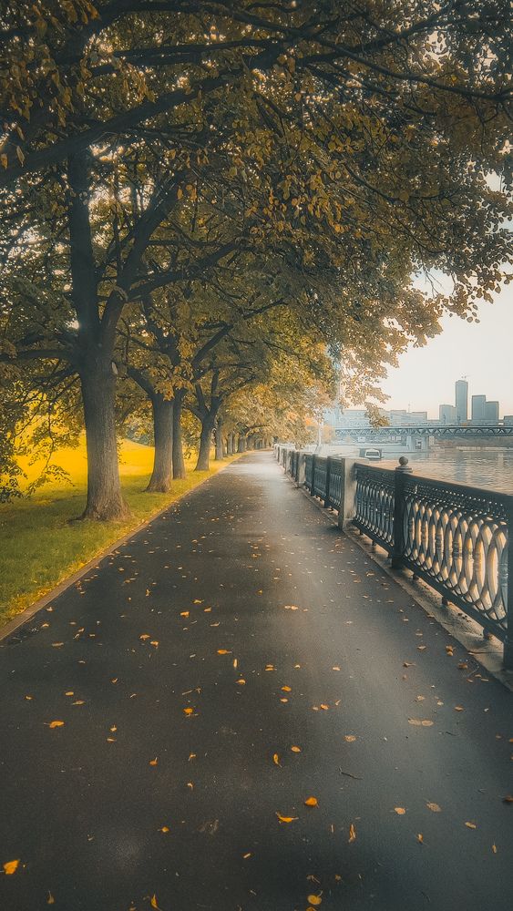 Photograph by Виктория Мамлеева