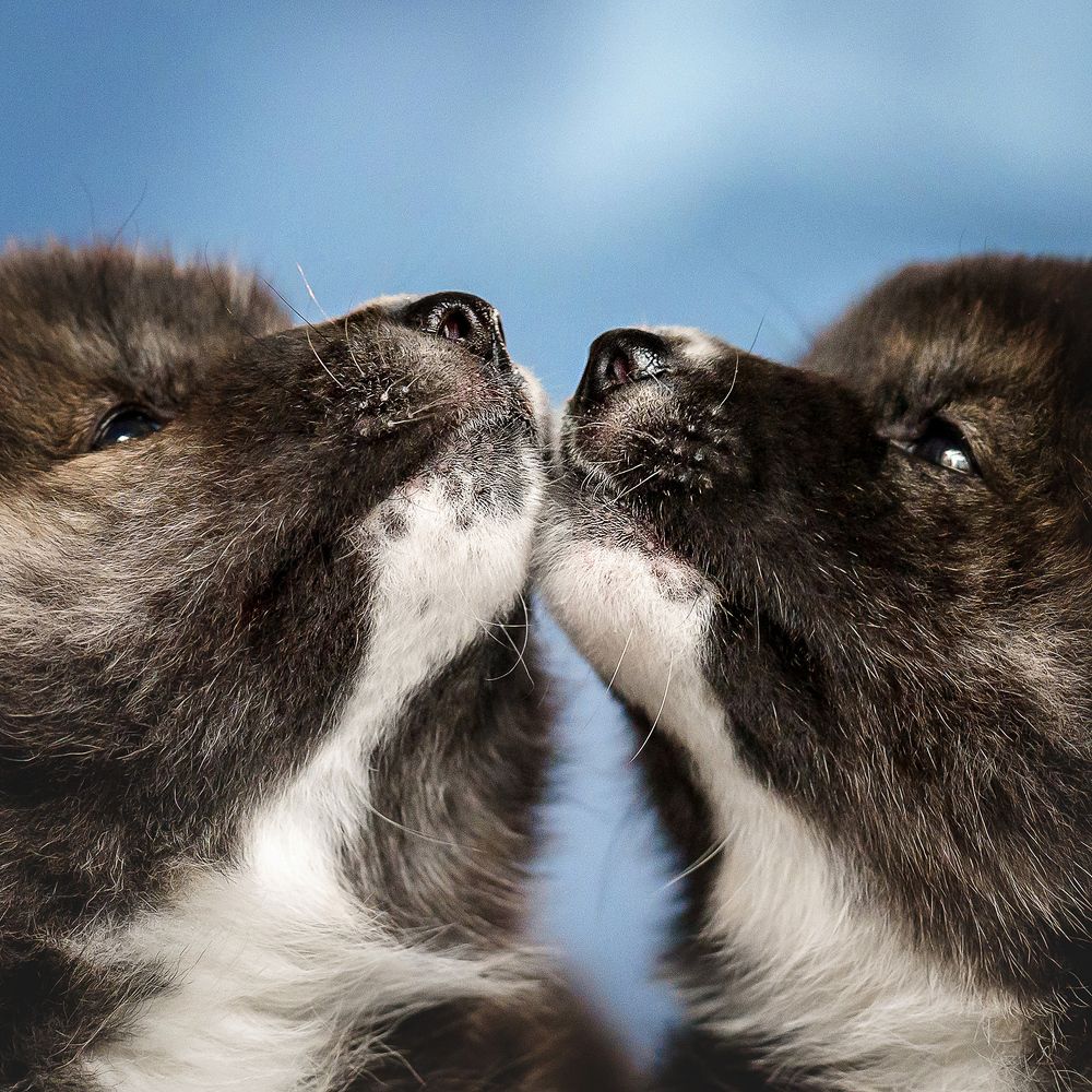 Фотография автора Оксана Серова