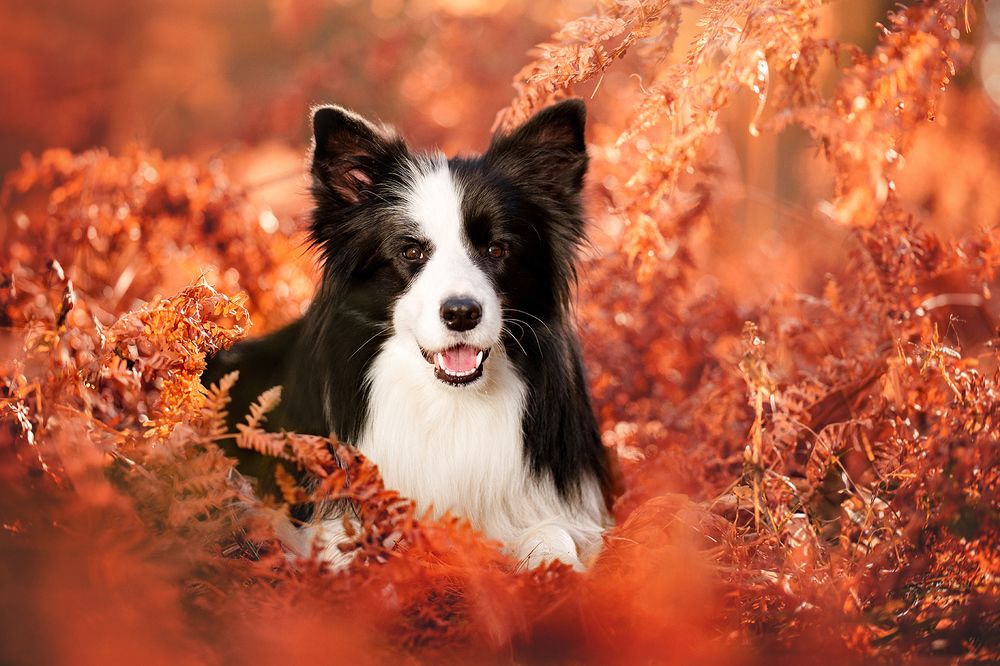 Фотография автора Оксана Серова