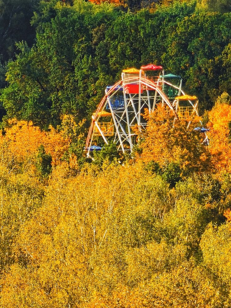 Photograph by Елена Ямнюк