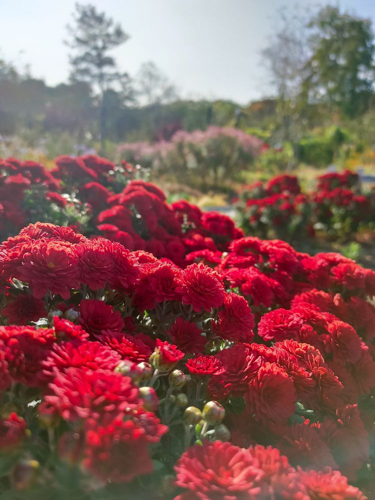 Photograph by Александр Коваль