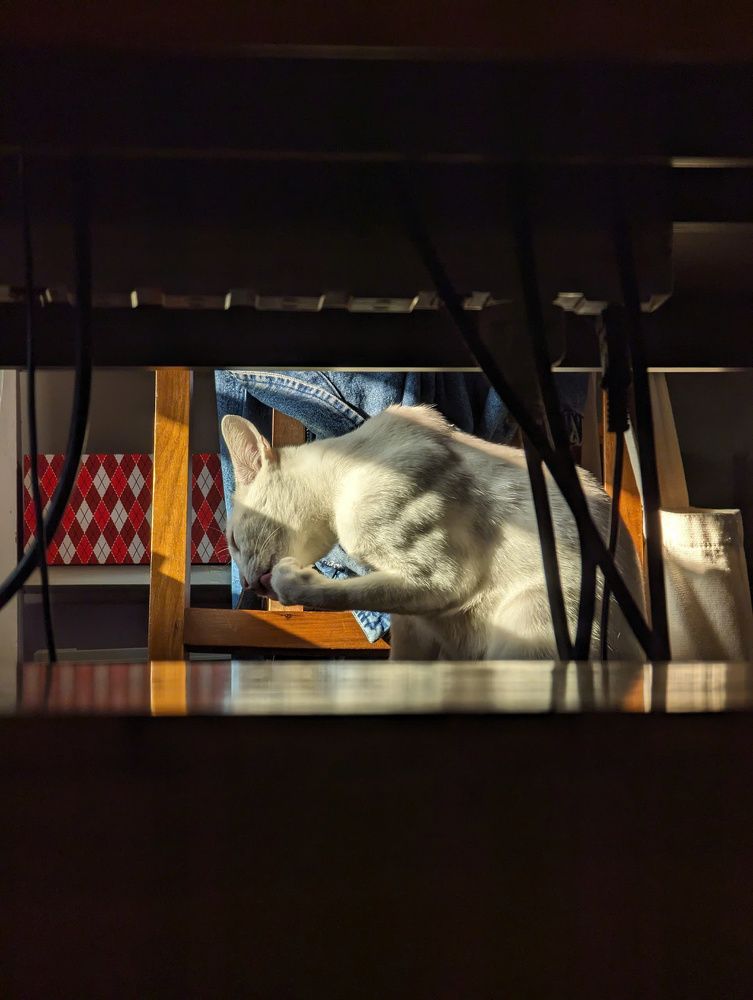 Photograph by Phu Nguyen