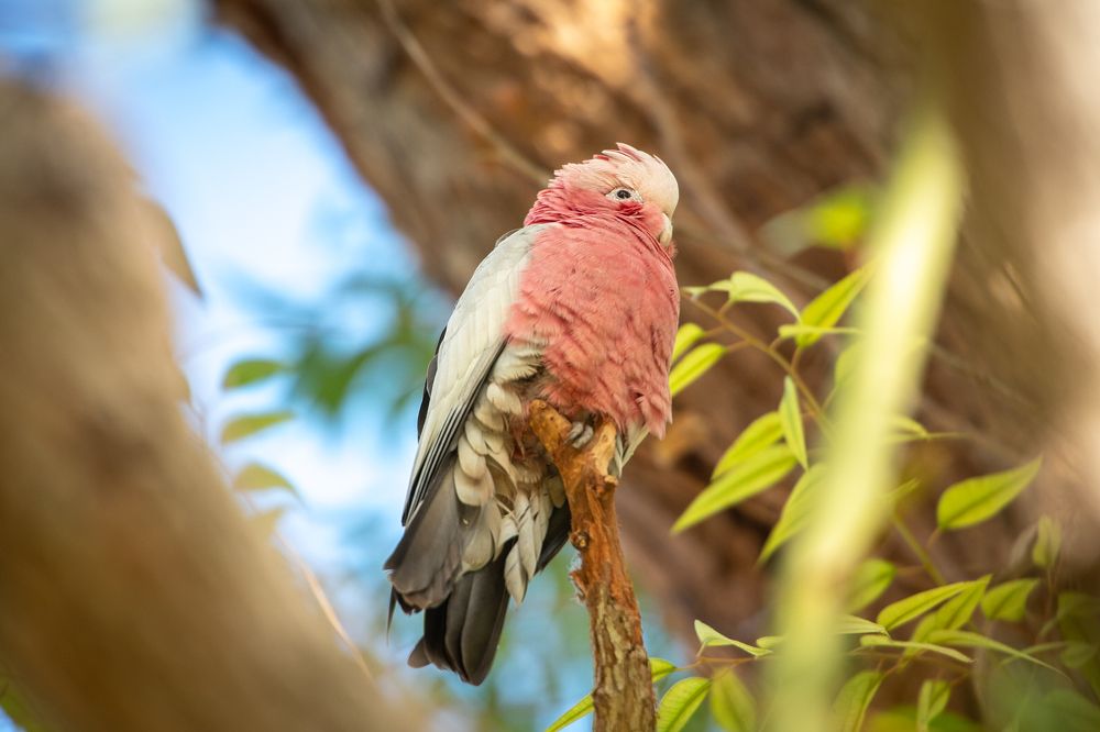 Photograph by Ismail Hassanaly