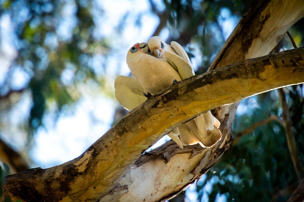 Photograph by Ismail Hassanaly