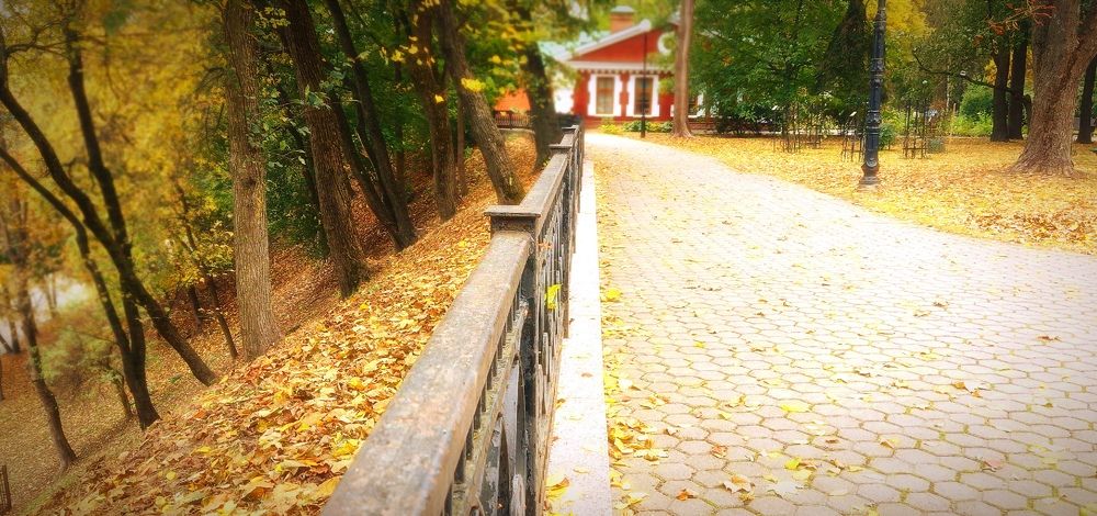 Photograph by Mishel Photographer