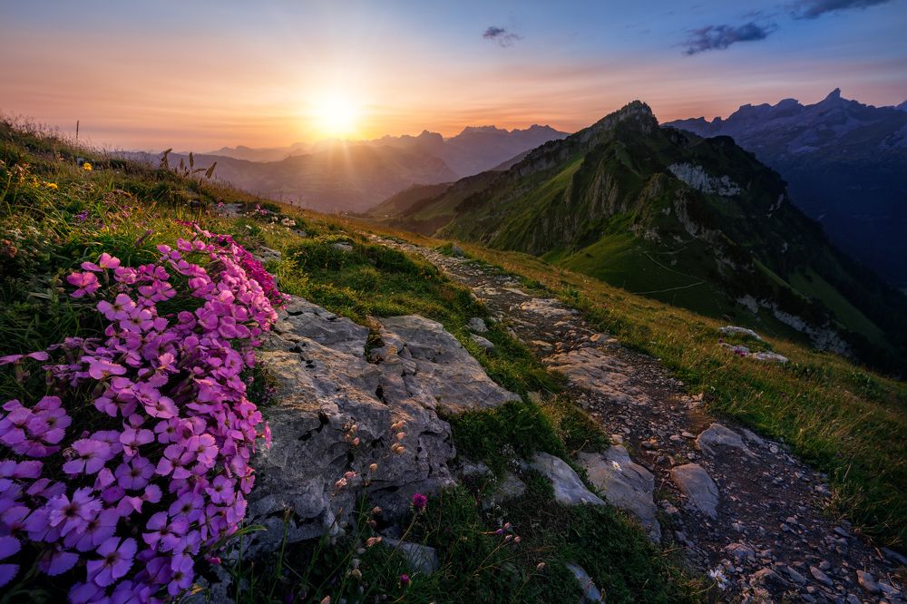 Фотография автора Kamila Pánková