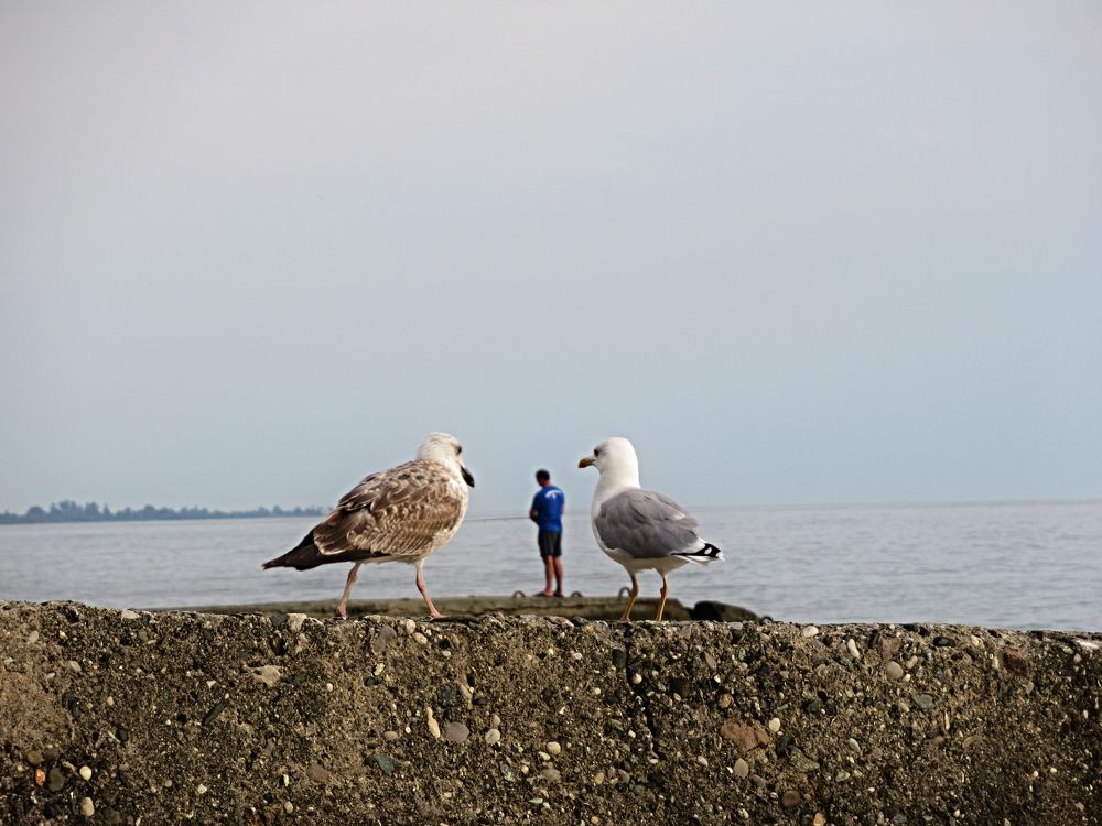 Photograph by Екатерина Салий