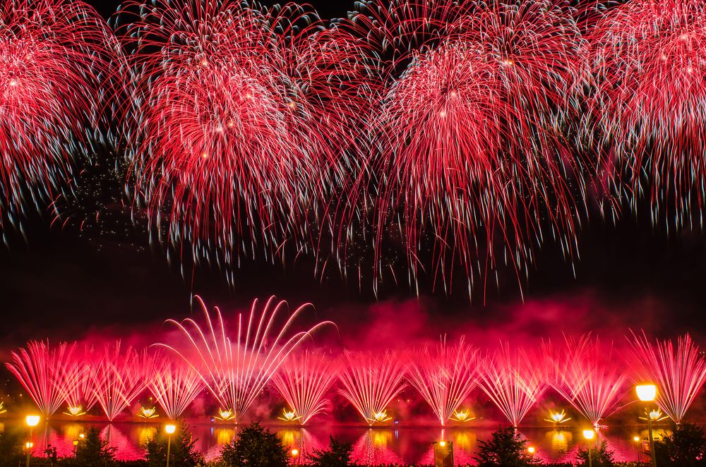 Photograph by Sveta_Poln