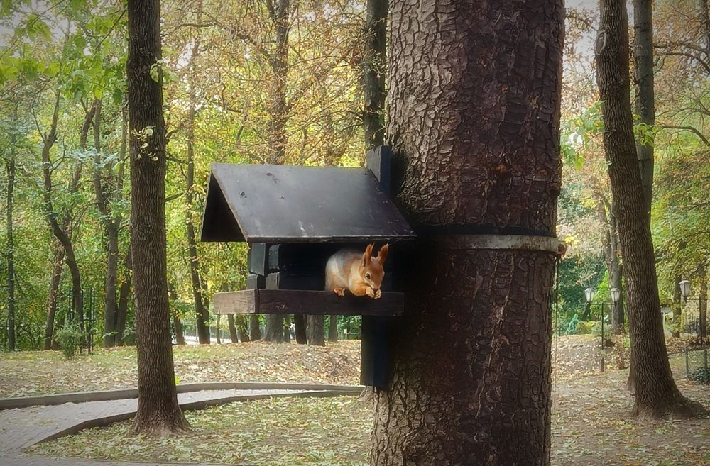 Photograph by Mishel Photographer