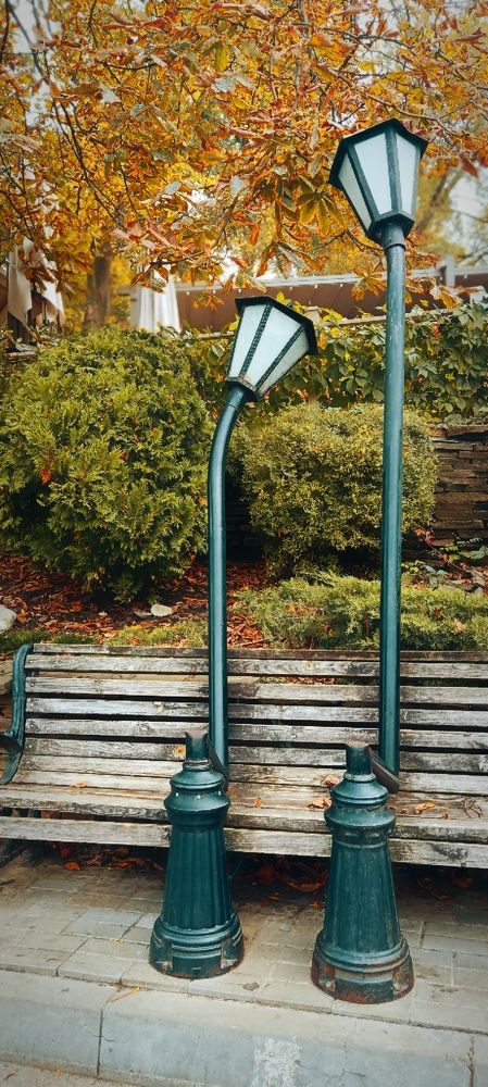 Photograph by Mishel Photographer