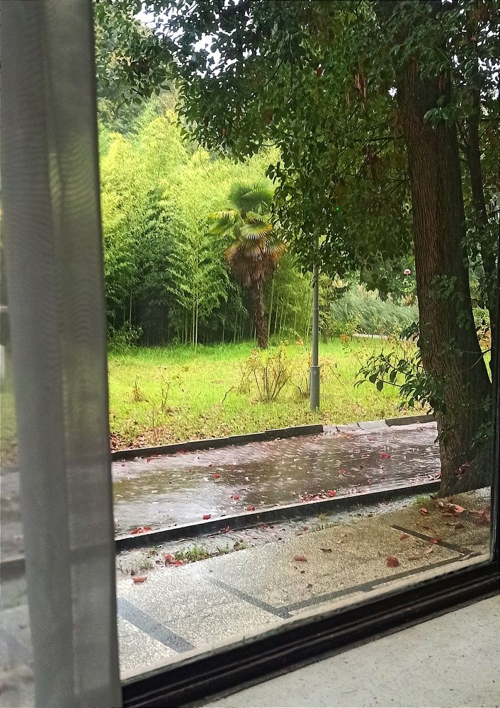 Photograph by Ольга Тихонова