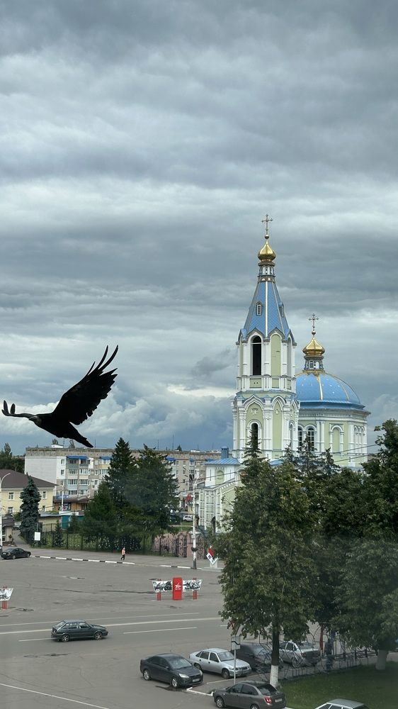 Photograph by Елена Гущина