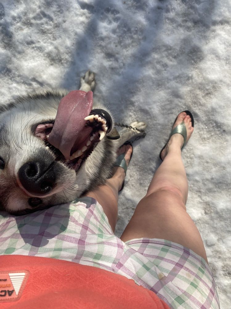 Photograph by Елена Гущина