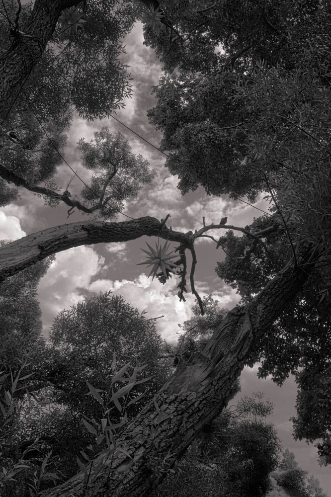 Photograph by Виктор Саврей