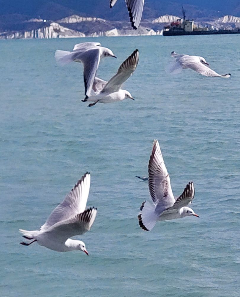 Photograph by Марина Жарикова