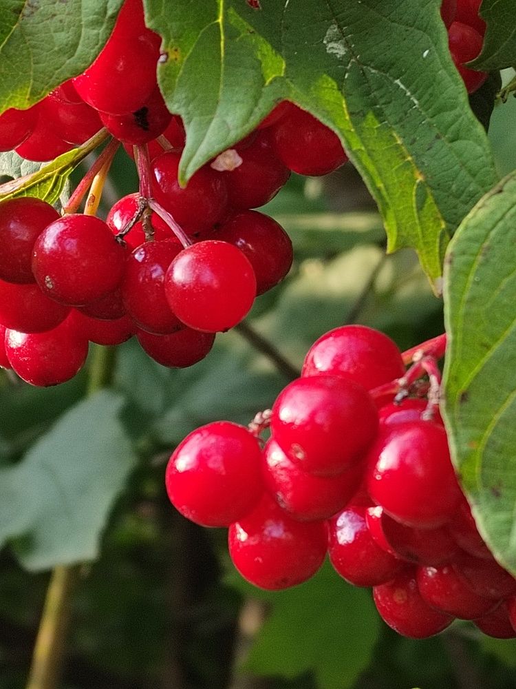 Photograph by Наталья Горовых