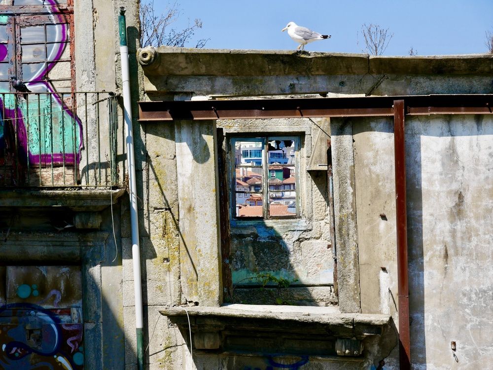 Photograph by Annie Trudel