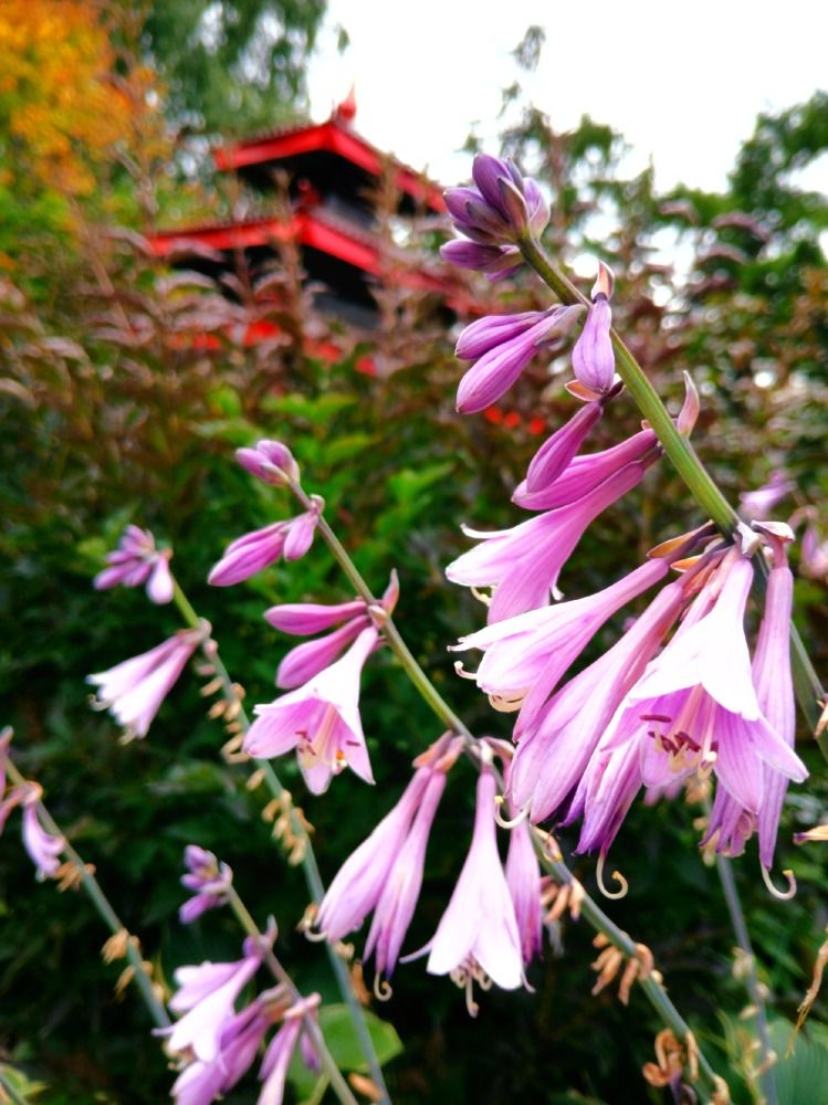 Photograph by Елена Дарьенко