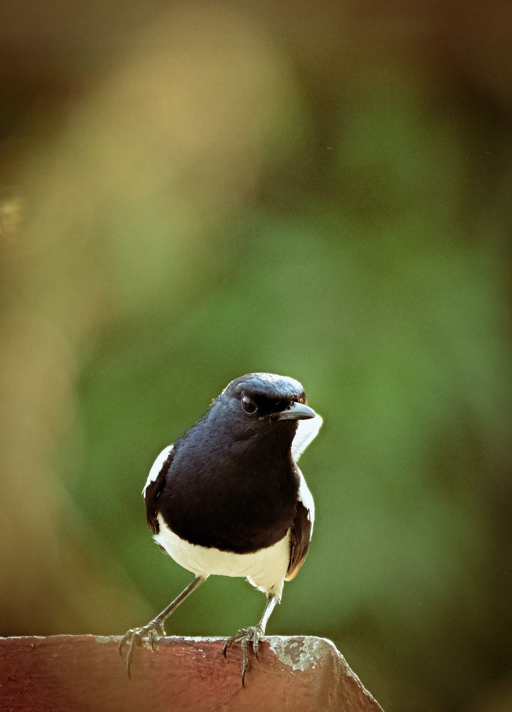 Photograph by R J Creations