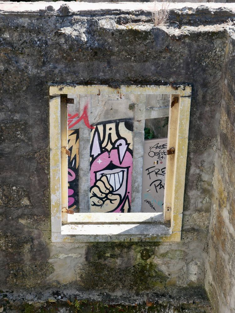 Photograph by Annie Trudel