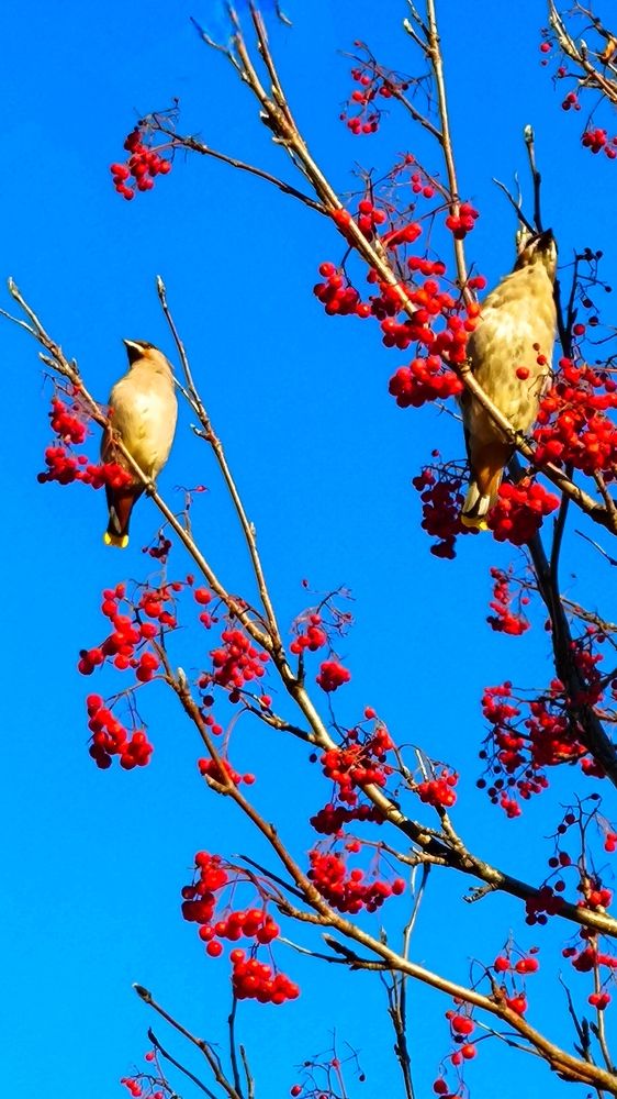 Photograph by Лариса Лысенко