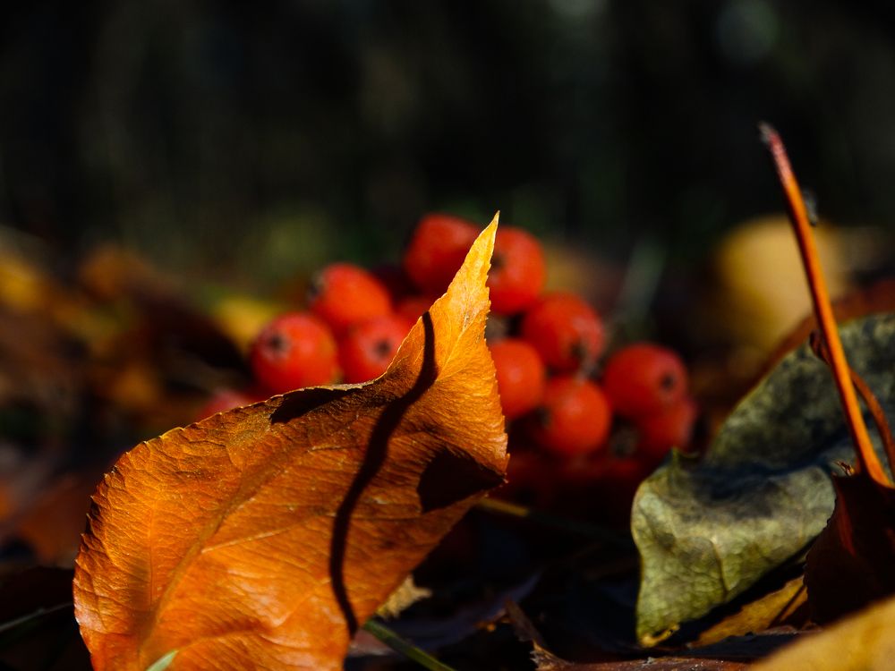 Photograph by Анжелика Трошина