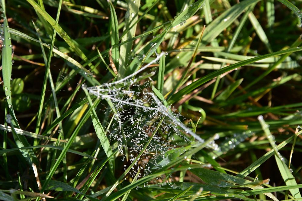 Photograph by Юлия Ю.