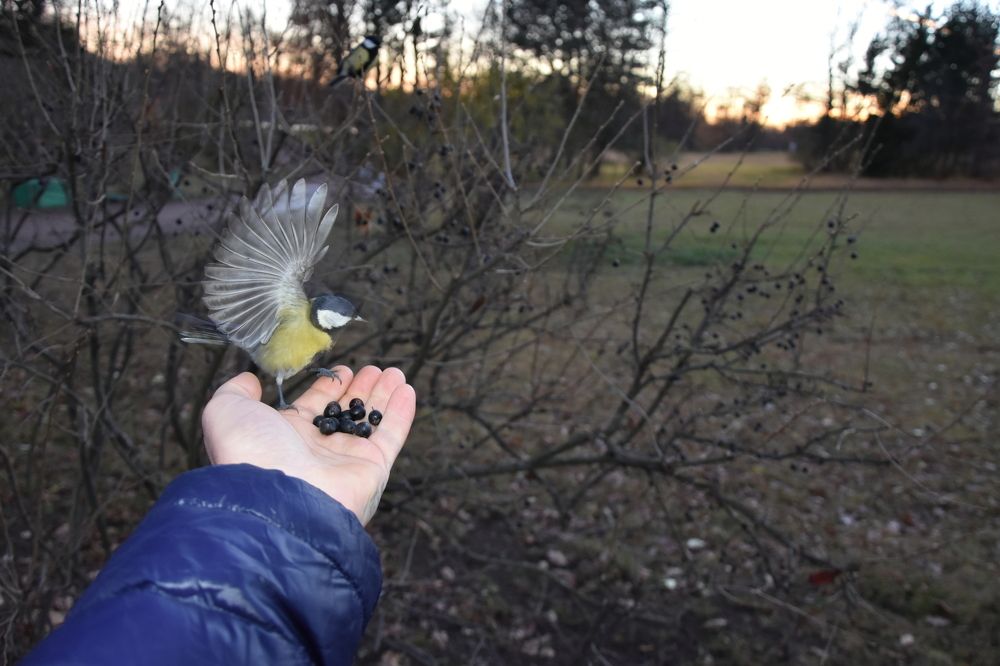 Photograph by Юлия Ю.