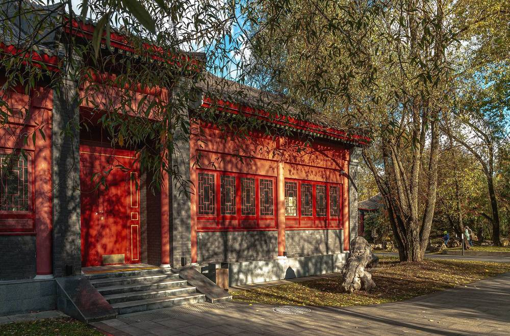 Photograph by Vladimir  Komarov