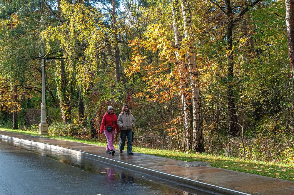 Photograph by Vladimir  Komarov